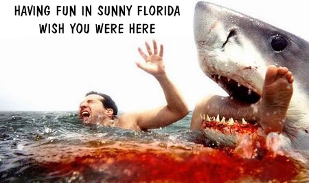 florida-post-card.jpeg