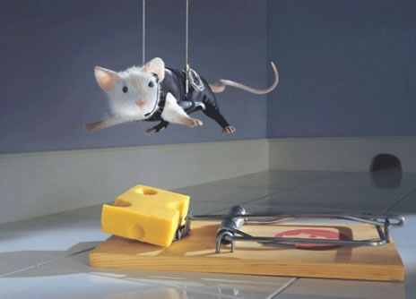 mouse.jpeg
